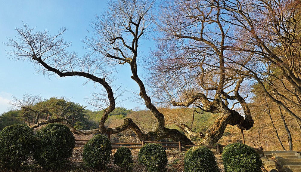 도산서원4-1000.jpg