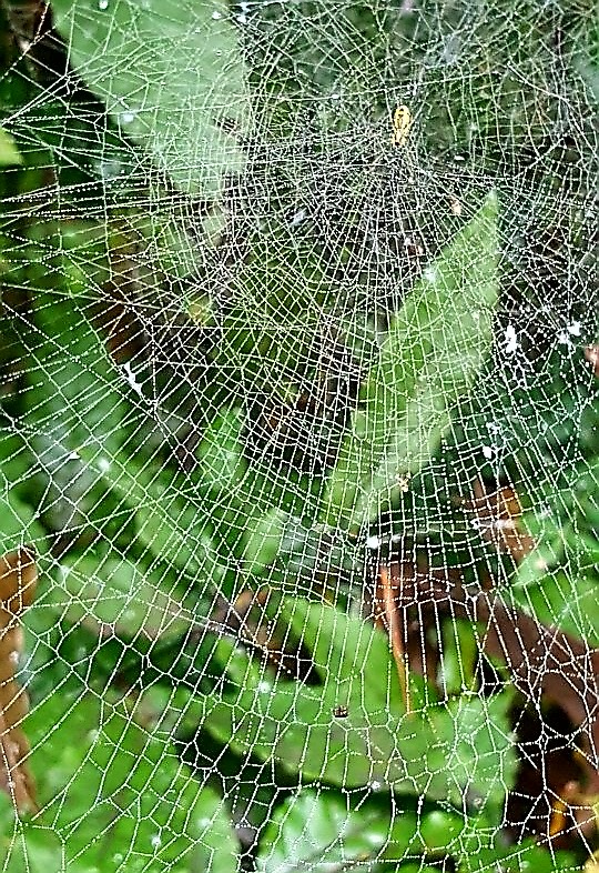 20170802_004452.jpg