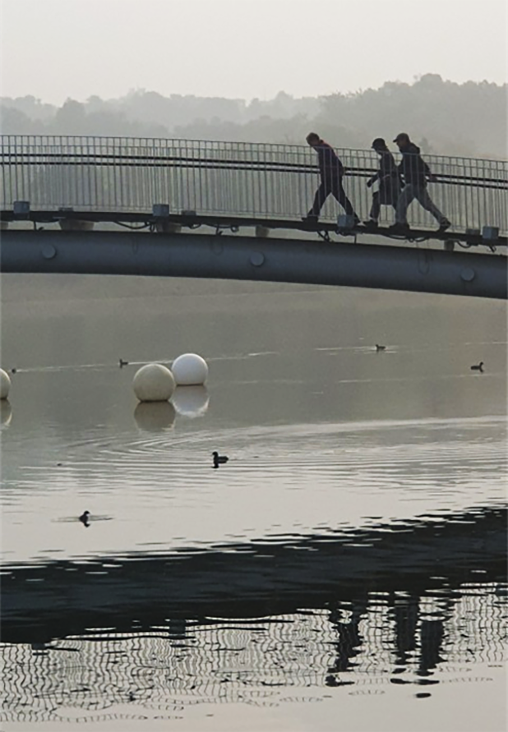 미라보2.png