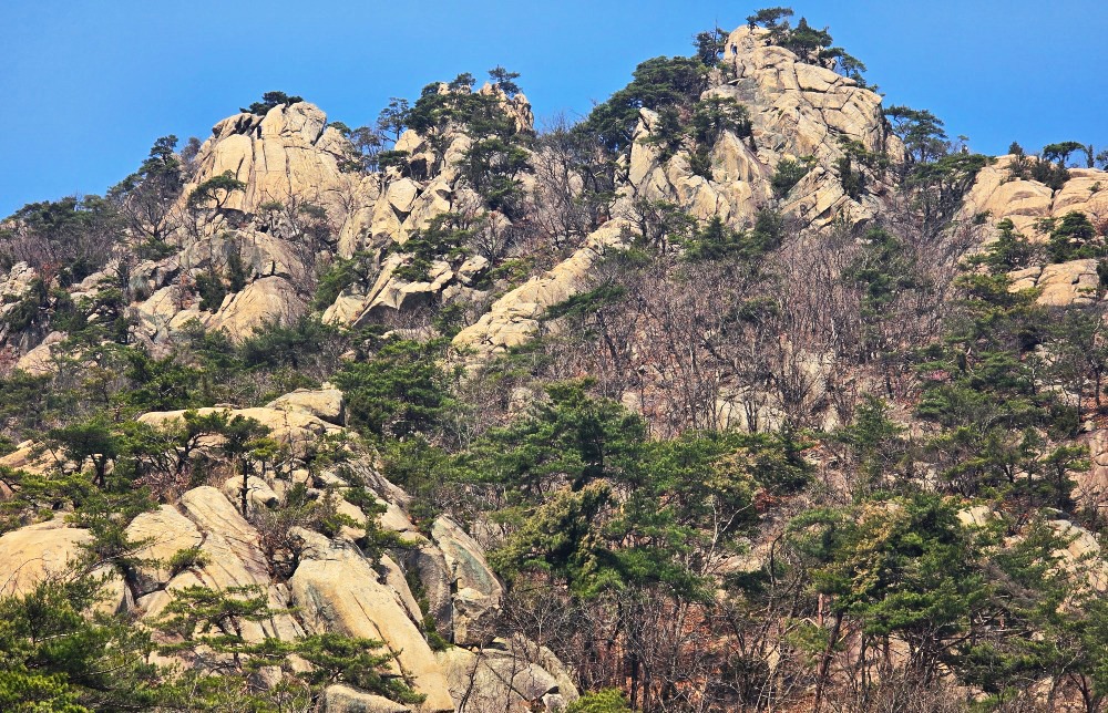 이성필사진1.jpg