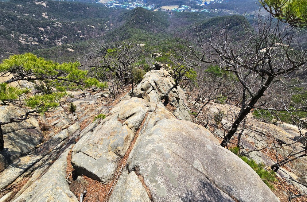 이성필사진3.jpg