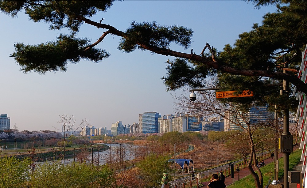 박종부양천1.jpg