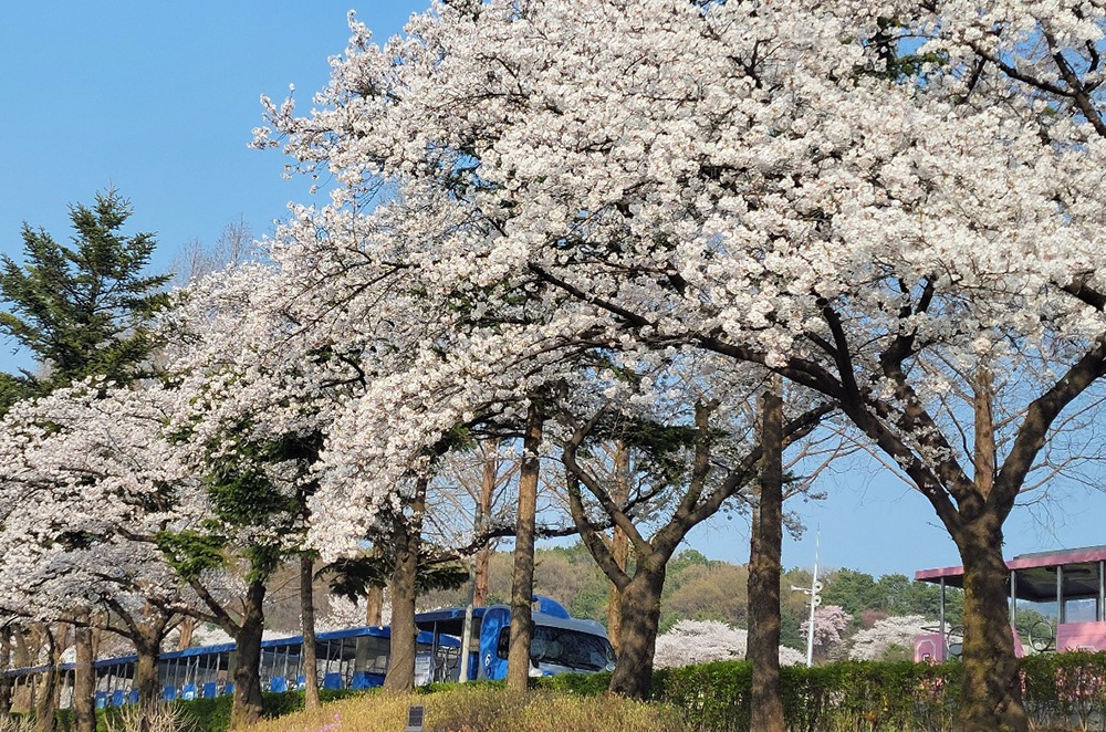 수철1.jpg