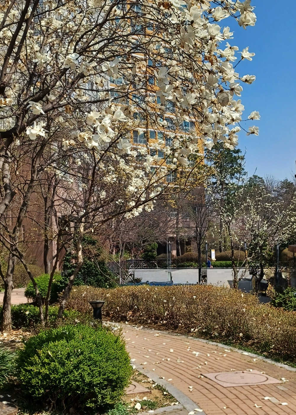 KakaoTalk_20250412_093336119-2.jpg