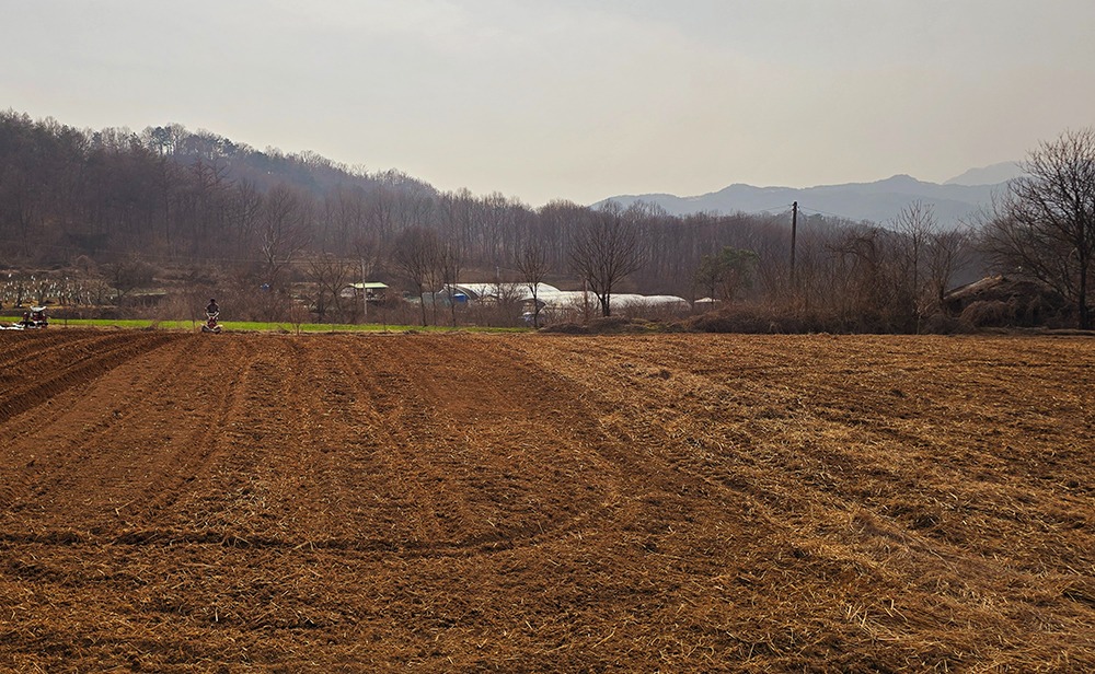 KakaoTalk_20250412_152549478-2.jpg