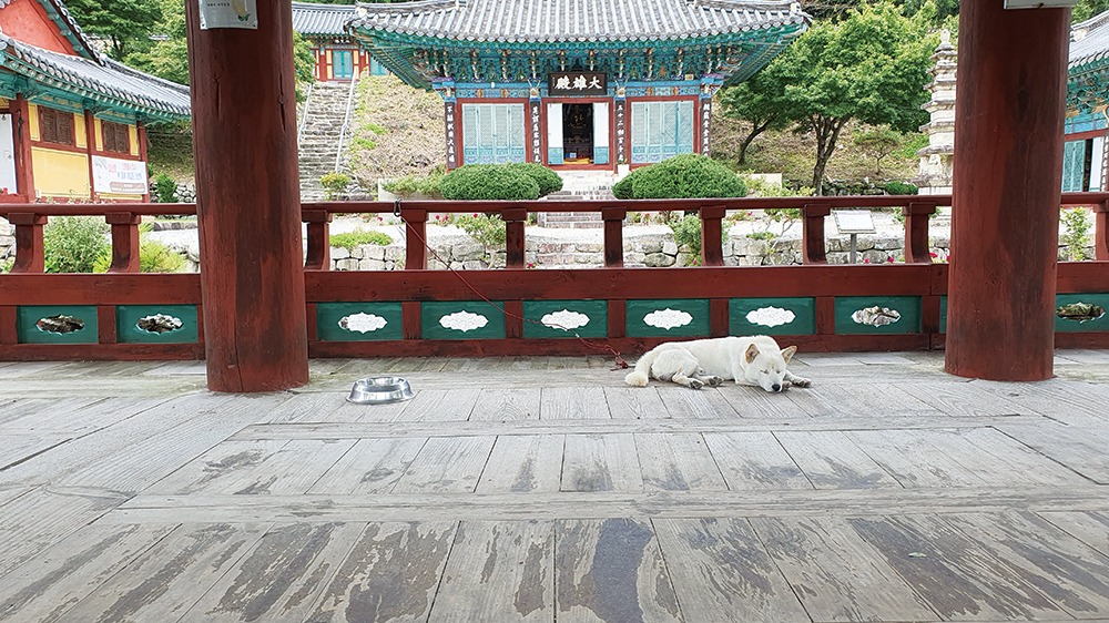 내장에살다3C-40.jpg
