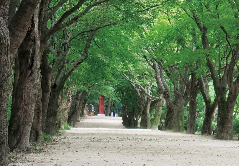 내장에살다7C-20.jpg
