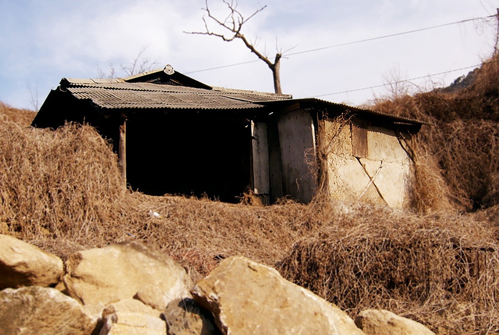 창고-1000.jpg
