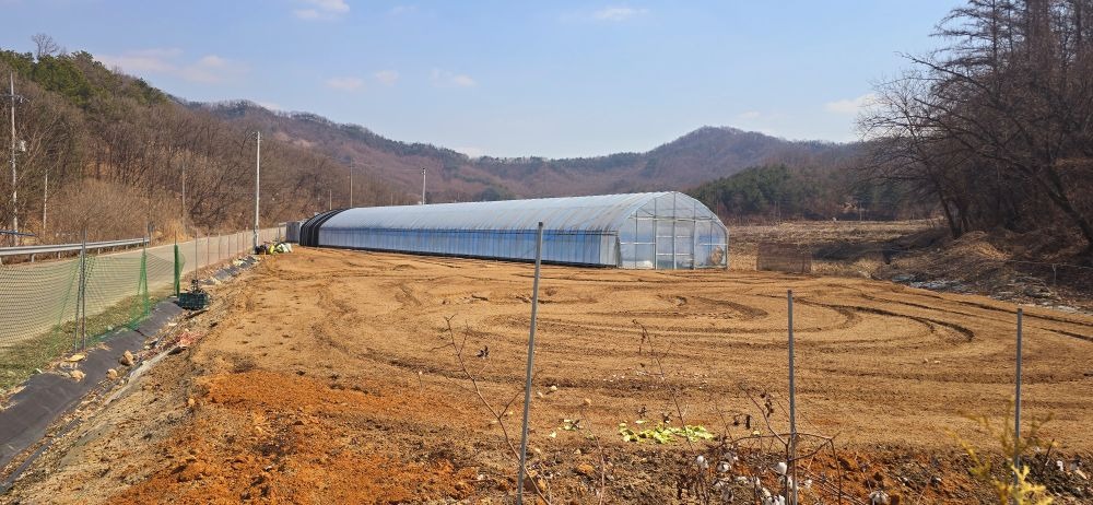 영산1.jpg