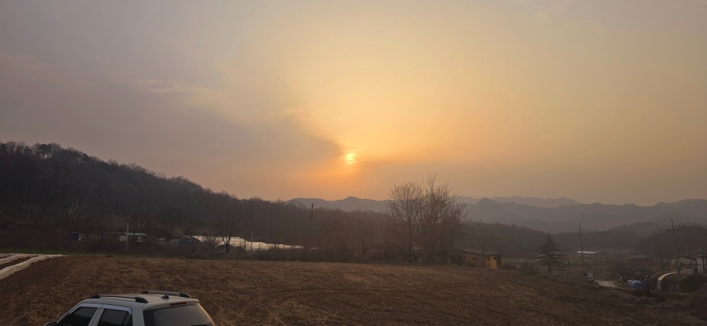 감자밭 옆 빈 옥수수 밭1.jpg