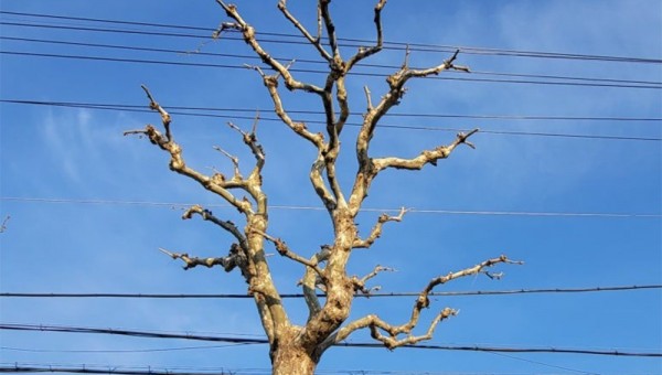 현.jpg