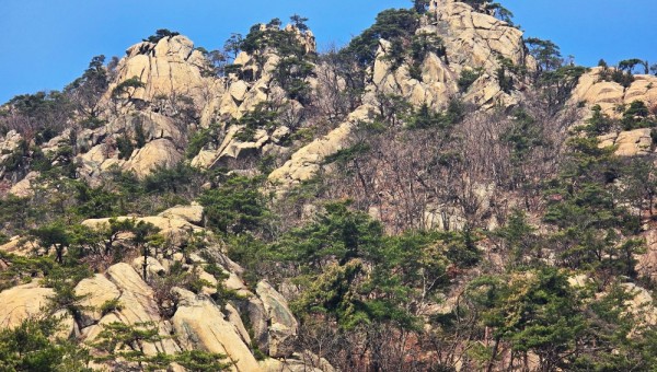 이성필사진1.jpg