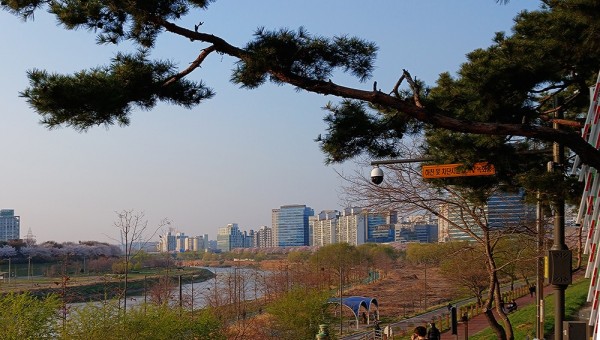 박종부양천1.jpg