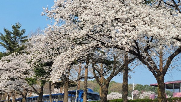 수철1.jpg