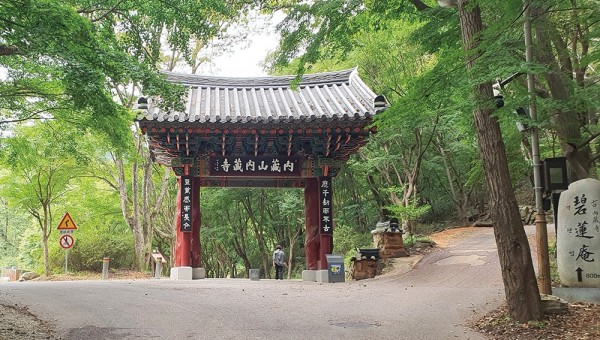 내장에살다1C.jpg
