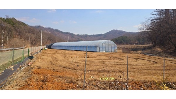 영산1.jpg