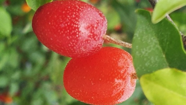 20250429121457_d1949044ab620e7e801bafee86729f1f_1b9x.jpg