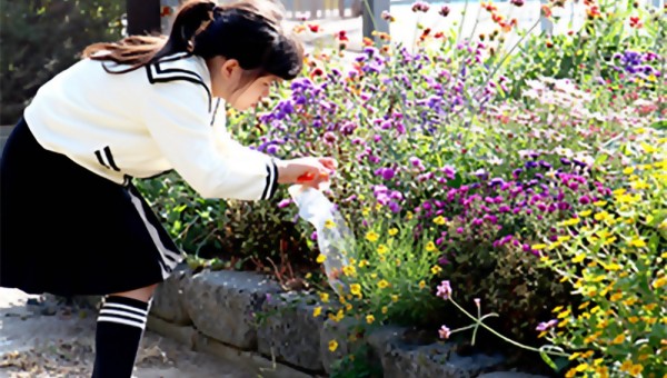 먼지정원1 복사.jpg