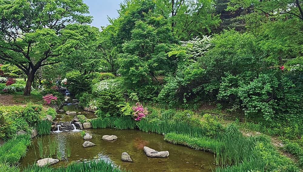 한명희이미지1-1000.jpg