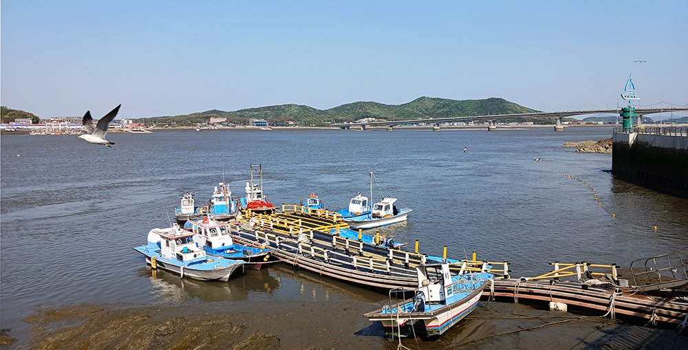 KakaoTalk_20250506_231157333-1000.jpg