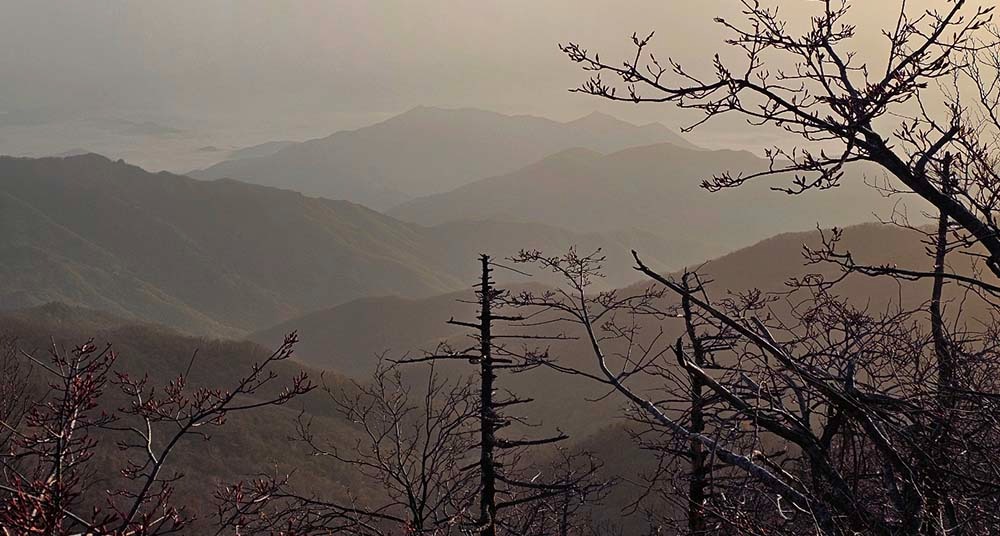 지리산꽃16-1000.jpg