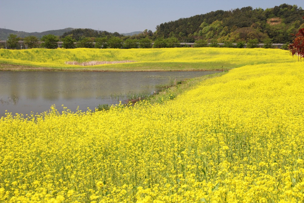 KakaoTalk_20250104_124937506.jpg