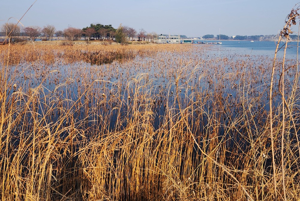 김성배이미지10-1000.jpg