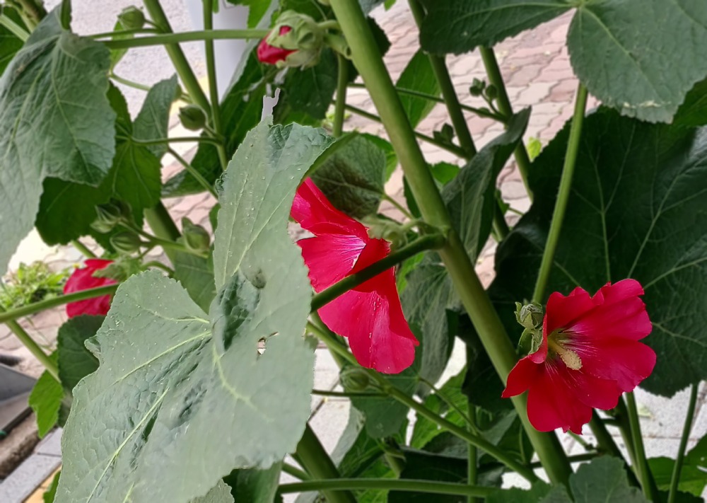 1-KakaoTalk_20250525_221040180-20.jpg