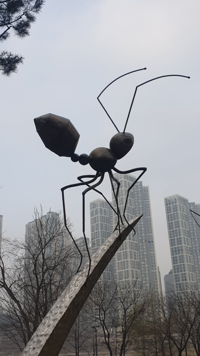 20250325_074753.jpg