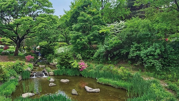 한명희이미지1-1000.jpg