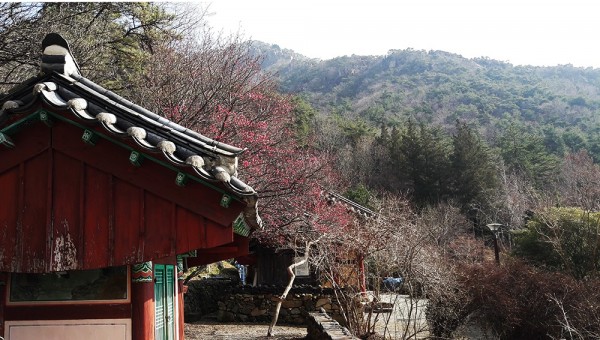 KakaoTalk_20240215_131351478_02-1000.jpg