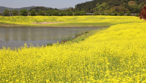 KakaoTalk_20250104_124937506.jpg