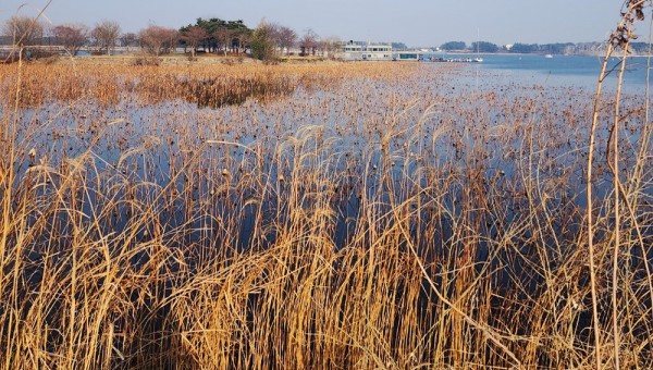 김성배이미지10-1000.jpg