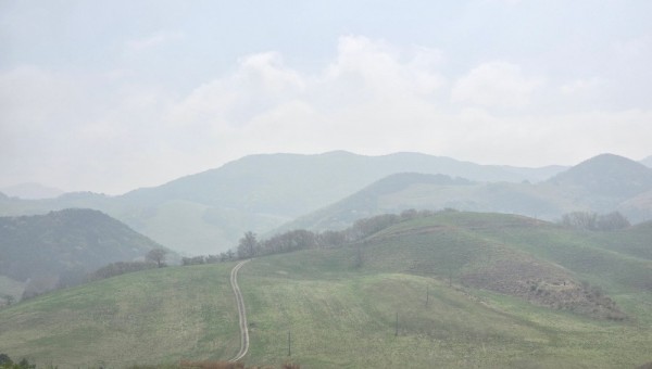 20250420_102819.jpg
