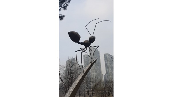 20250325_074753.jpg