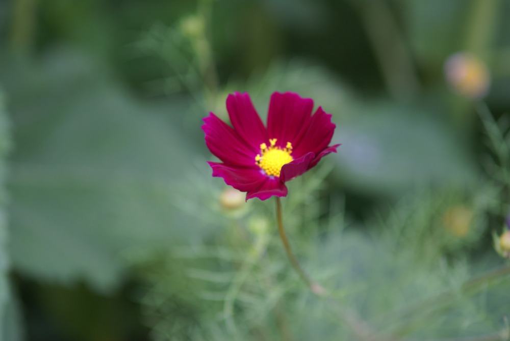 DSC00182.JPG