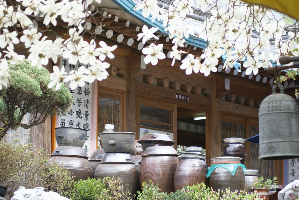 DSC08068.JPG