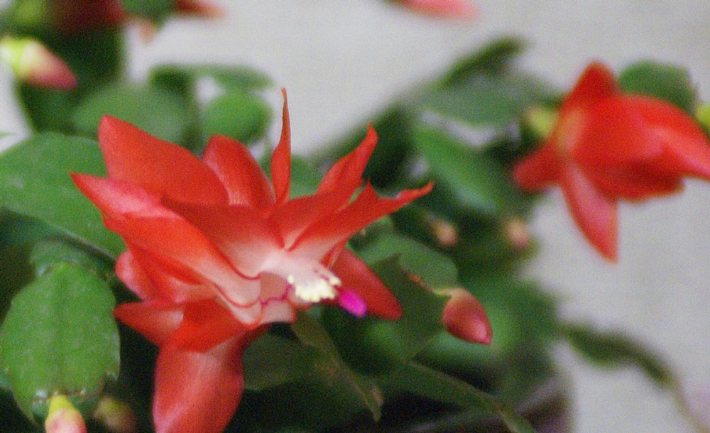 DSC09385-2.jpg