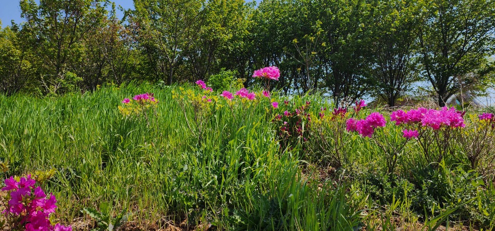 20250425 한국시협당진1-1-24.jpg