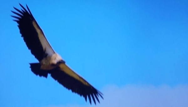 20250626030545_76e7a59ee1fb37323ec6270500147d3a_8w6v.jpg