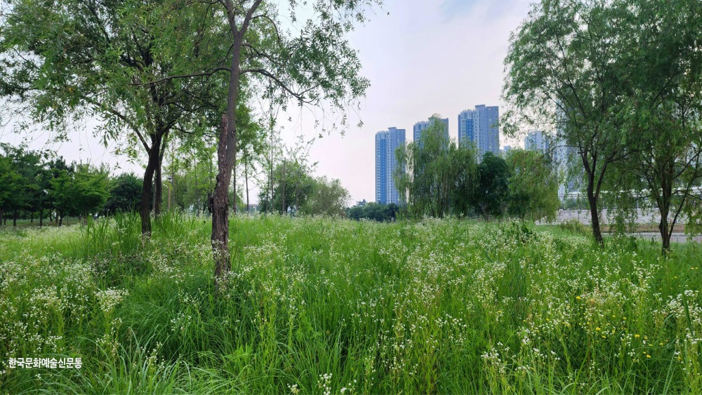 20250709_194022.jpg