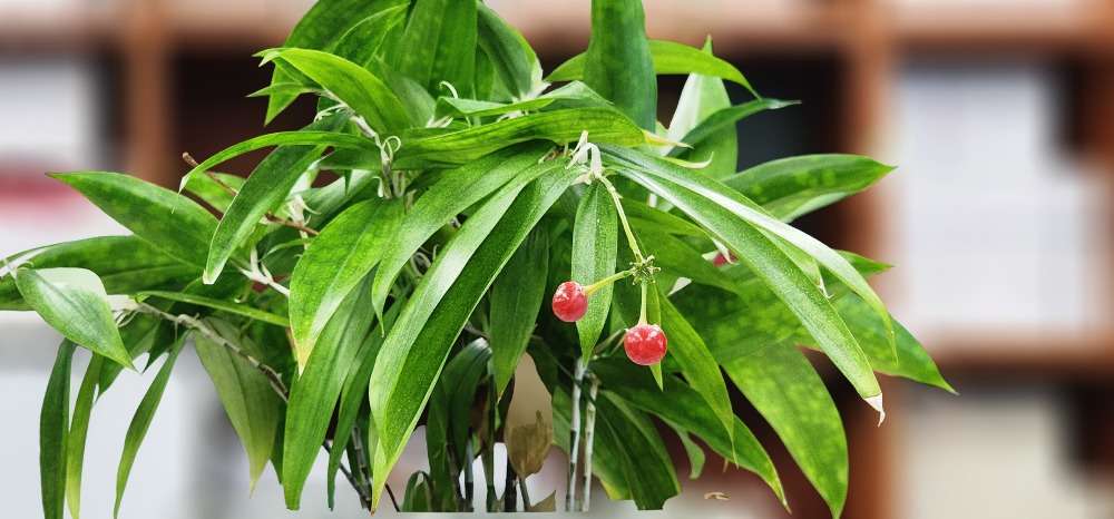 고드세피아-사무실 20250722.jpg