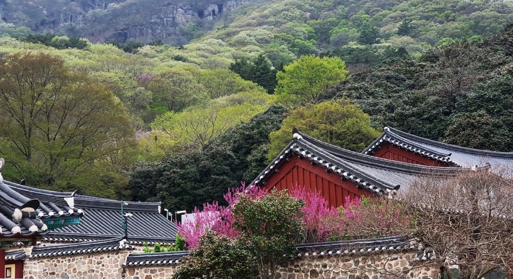 2 동백숲-ㅊ20.jpg