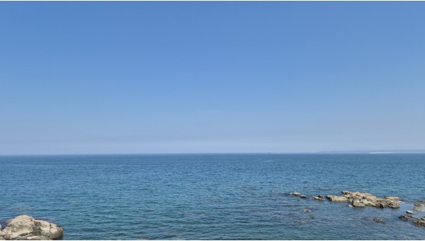 20250824_145016.jpg