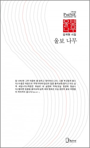 김국현 시집 표지2.jpg