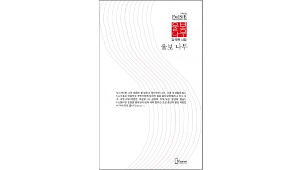 김국현 시집 표지2.jpg