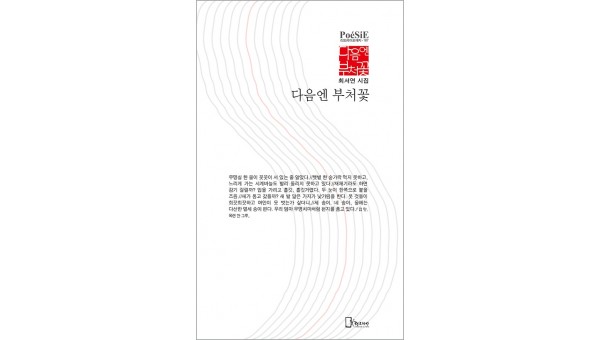 최서연 시집 도서관-500.jpg