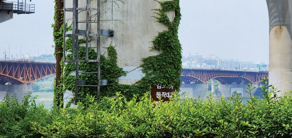 1-20250511 한강공원1-1-3-2-C25.jpg