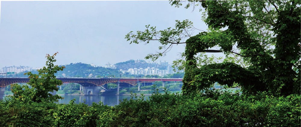 1-20250511 한강공원1-1-4-7-C35.jpg