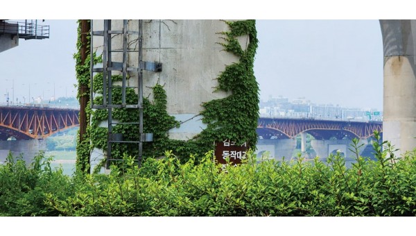 1-20250511 한강공원1-1-3-2-C25.jpg